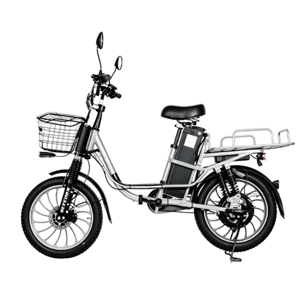 electric-bicycle-princess-custom
