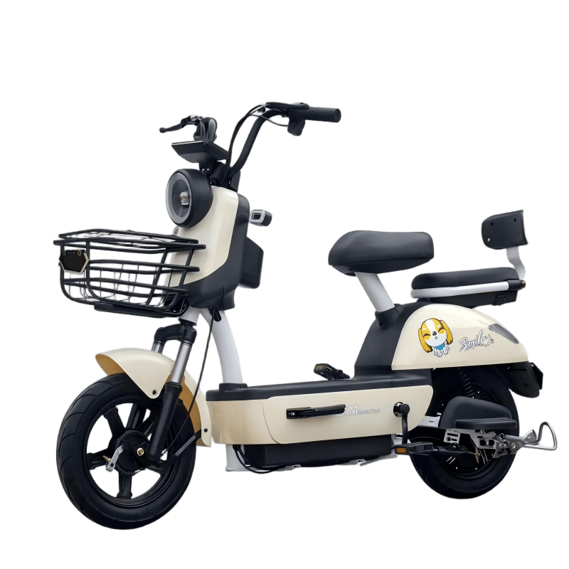 electric-bicycle-princess-lanqi-custom