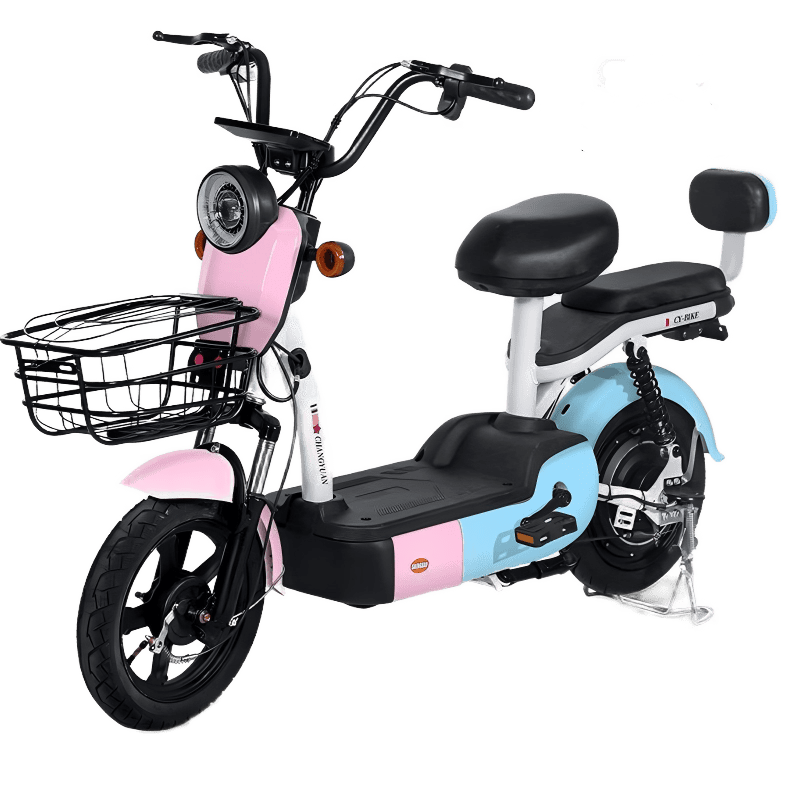 electric-bicycle-sweetened-red -beans-custom