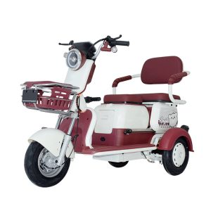 electric tricycle