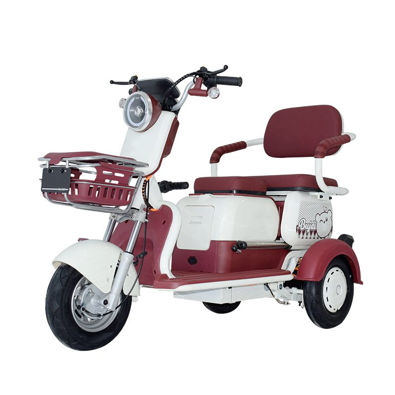 electric tricycle