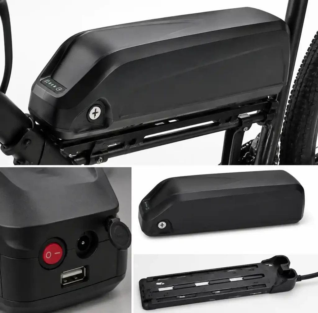 48V Lithium-Ion Battery Pack Electric Bicycle